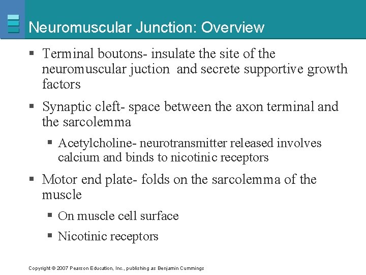 Neuromuscular Junction: Overview § Terminal boutons- insulate the site of the neuromuscular juction and