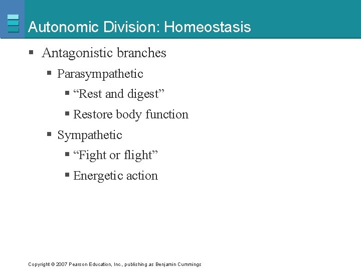 Autonomic Division: Homeostasis § Antagonistic branches § Parasympathetic § “Rest and digest” § Restore