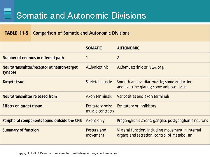 Somatic and Autonomic Divisions Copyright © 2007 Pearson Education, Inc. , publishing as Benjamin