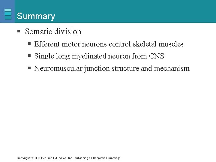 Summary § Somatic division § Efferent motor neurons control skeletal muscles § Single long