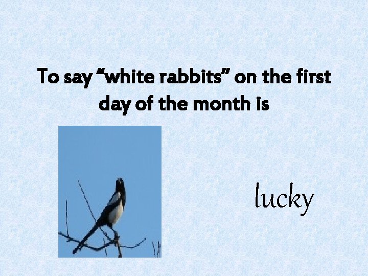 To say “white rabbits” on the first day of the month is lucky 