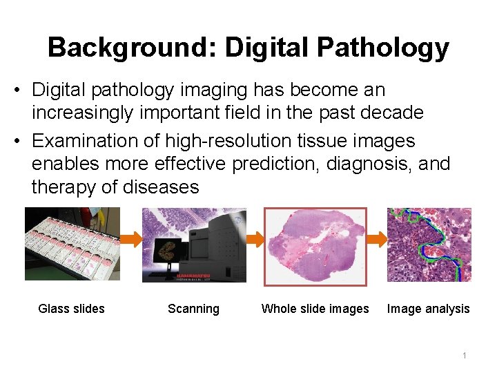 Background: Digital Pathology • Digital pathology imaging has become an increasingly important field in
