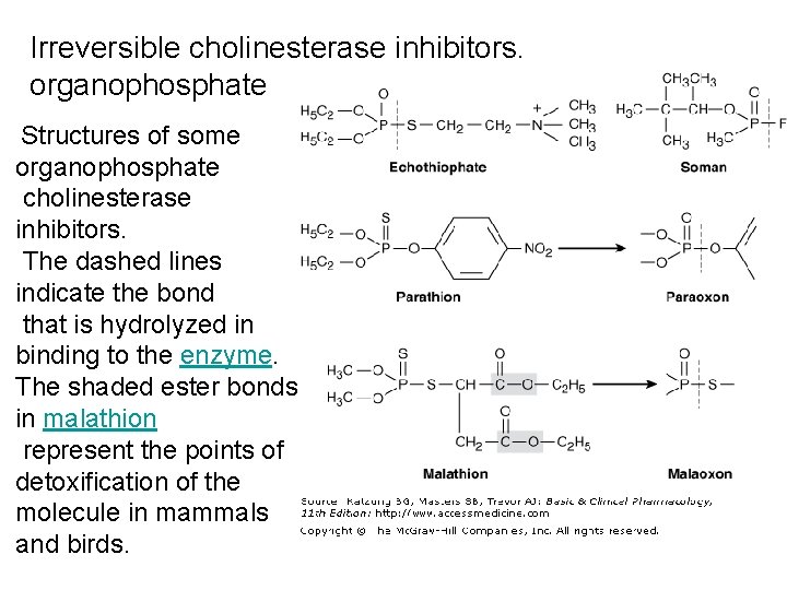 Irreversible cholinesterase inhibitors. organophosphate Structures of some organophosphate cholinesterase inhibitors. The dashed lines indicate