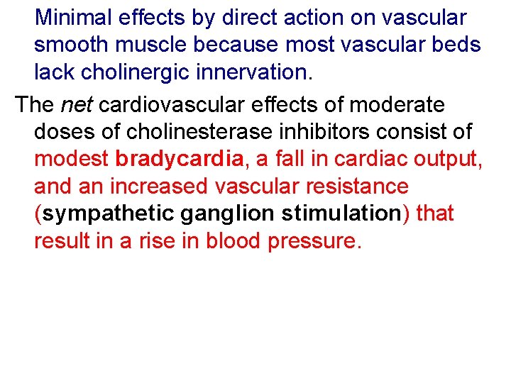  Minimal effects by direct action on vascular smooth muscle because most vascular beds
