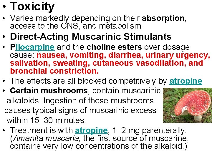  • Toxicity • Varies markedly depending on their absorption, access to the CNS,