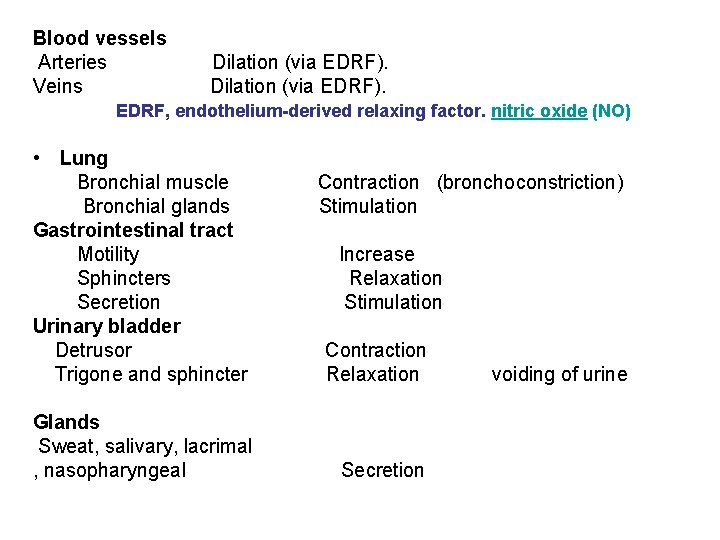 Blood vessels Arteries Dilation (via EDRF). Veins Dilation (via EDRF). EDRF, endothelium-derived relaxing factor.