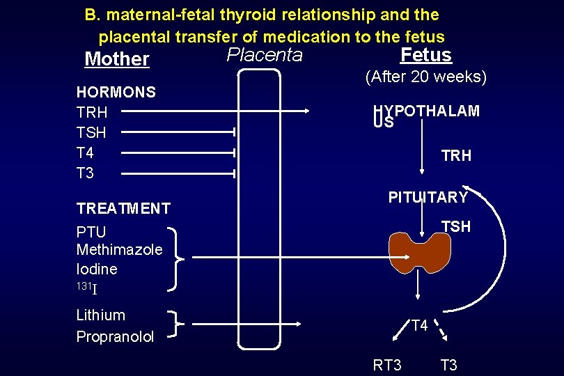 B. maternal-fetal thyroid relationship and the placental transfer of medication to the fetus Mother