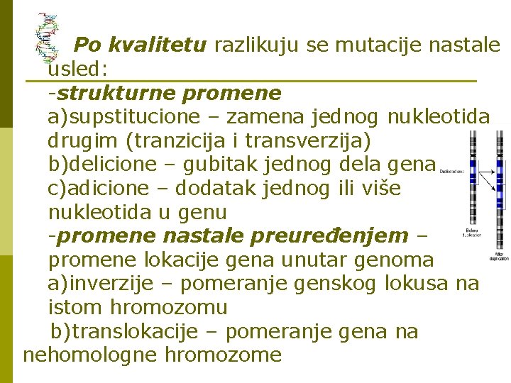 Po kvalitetu razlikuju se mutacije nastale usled: -strukturne promene a)supstitucione – zamena jednog nukleotida