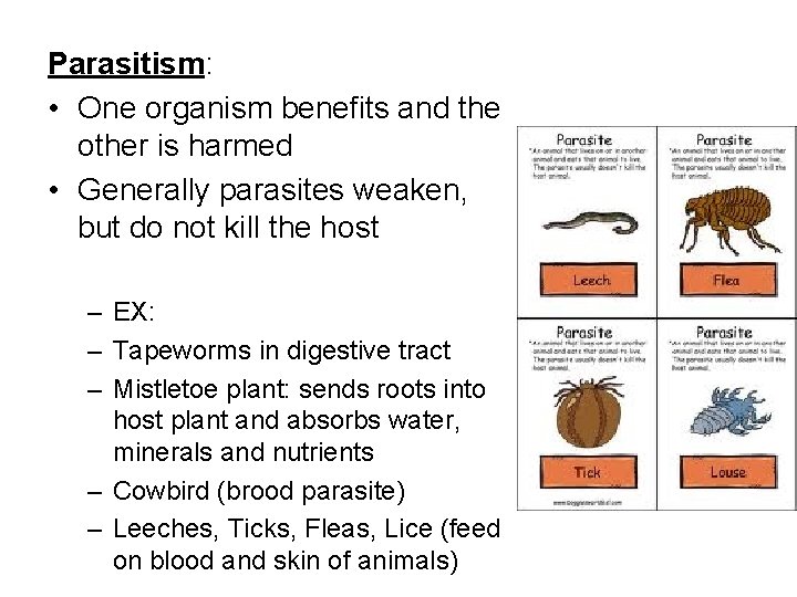 Parasitism: • One organism benefits and the other is harmed • Generally parasites weaken,