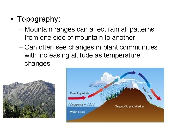  • Topography: – Mountain ranges can affect rainfall patterns from one side of