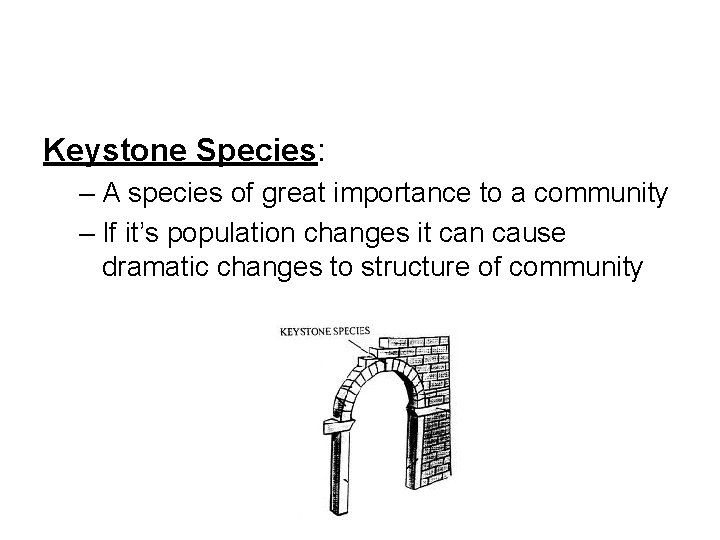 Keystone Species: – A species of great importance to a community – If it’s