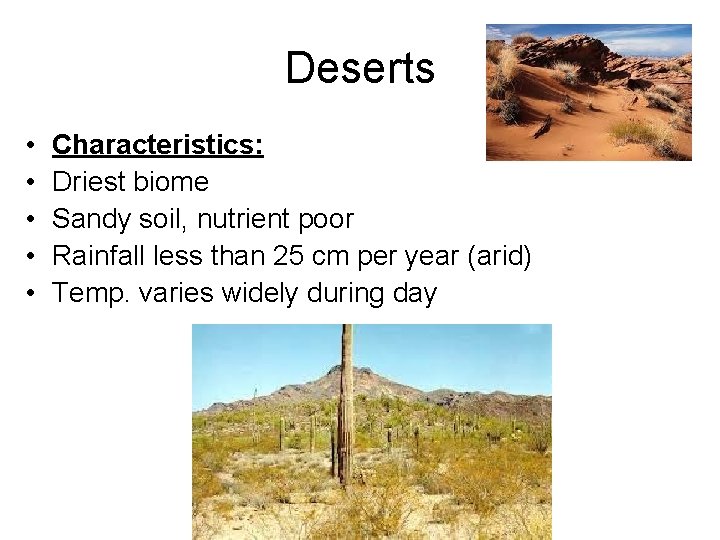 Deserts • • • Characteristics: Driest biome Sandy soil, nutrient poor Rainfall less than
