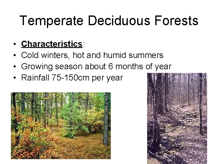 Temperate Deciduous Forests • • Characteristics: Cold winters, hot and humid summers Growing season