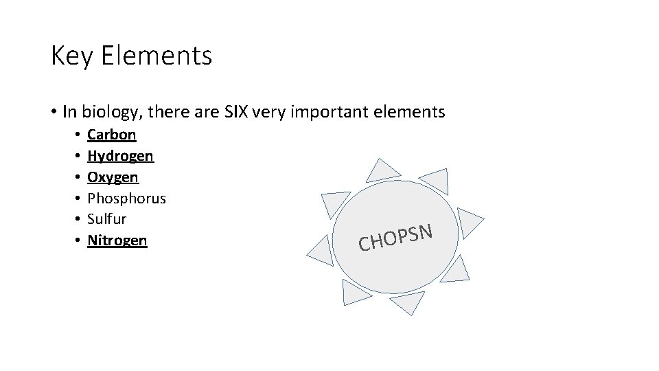 Key Elements • In biology, there are SIX very important elements • • •
