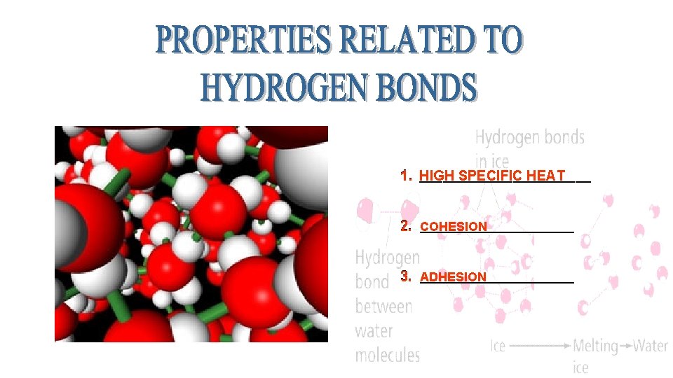 ___________ 1. HIGH SPECIFIC HEAT ___________ 2. COHESION ___________ 3. ADHESION 