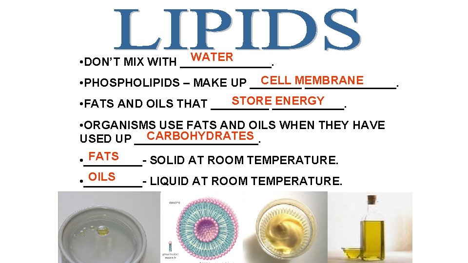 WATER • DON’T MIX WITH _______. CELL MEMBRANE • PHOSPHOLIPIDS – MAKE UP ______________.