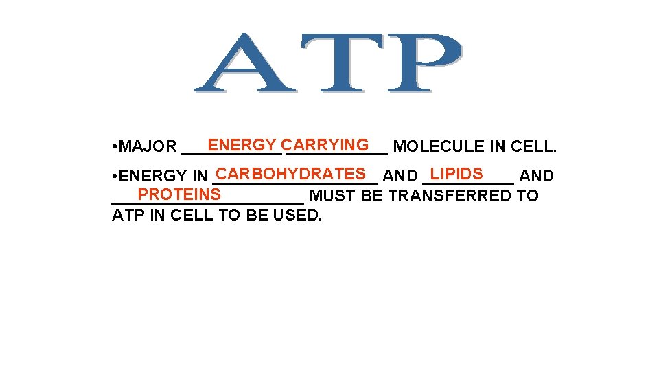 ENERGY CARRYING • MAJOR ___________ MOLECULE IN CELL. CARBOHYDRATES AND _____ LIPIDS • ENERGY