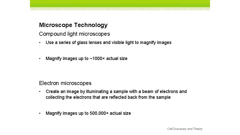 Microscope Technology Compound light microscopes • Use a series of glass lenses and visible