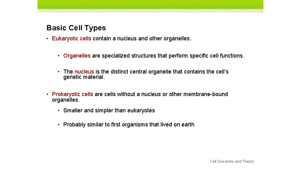 Basic Cell Types • Eukaryotic cells contain a nucleus and other organelles. • Organelles