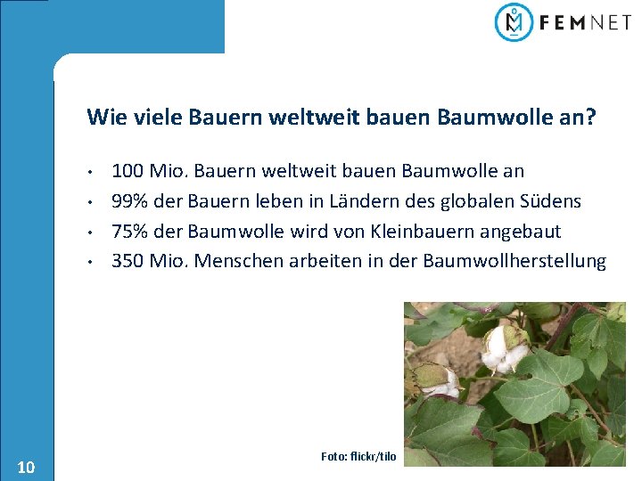 Wie viele Bauern weltweit bauen Baumwolle an? • • 10 100 Mio. Bauern weltweit