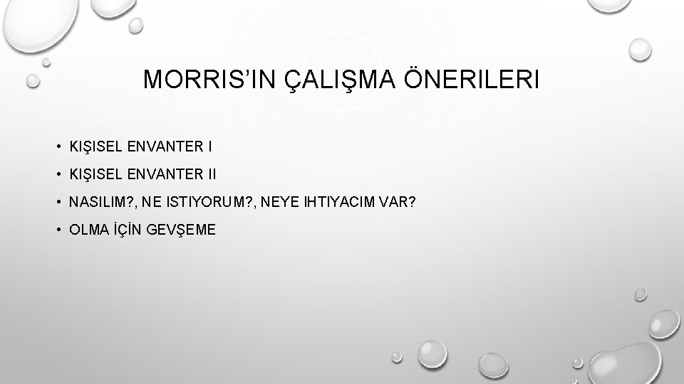 MORRIS’IN ÇALIŞMA ÖNERILERI • KIŞISEL ENVANTER II • NASILIM? , NE ISTIYORUM? , NEYE