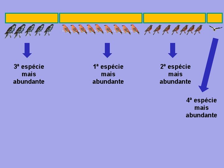 3ª espécie mais abundante 1ª espécie mais abundante 2ª espécie mais abundante 4ª espécie