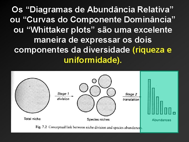 Os “Diagramas de Abundância Relativa” ou “Curvas do Componente Dominância” ou “Whittaker plots” são