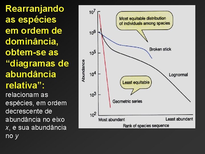 Rearranjando as espécies em ordem de dominância, obtem-se as “diagramas de abundância relativa”: relacionam Rearranjando as espécies em ordem de dominância, obtem-se as “diagramas de abundância relativa”: relacionam