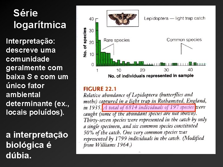 Série logarítmica Interpretação: descreve uma comunidade geralmente com baixa S e com um único Série logarítmica Interpretação: descreve uma comunidade geralmente com baixa S e com um único
