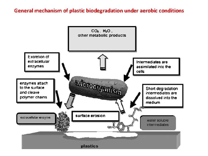 General mechanism of plastic biodegradation under aerobic conditions 