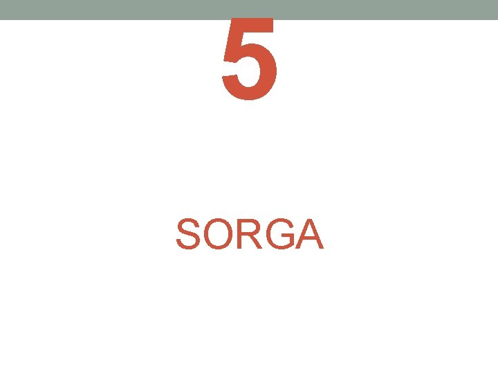 5 SORGA 