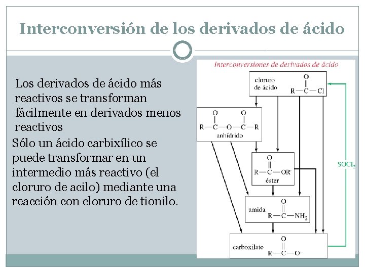 Interconversión de los derivados de ácido Los derivados de ácido más reactivos se transforman