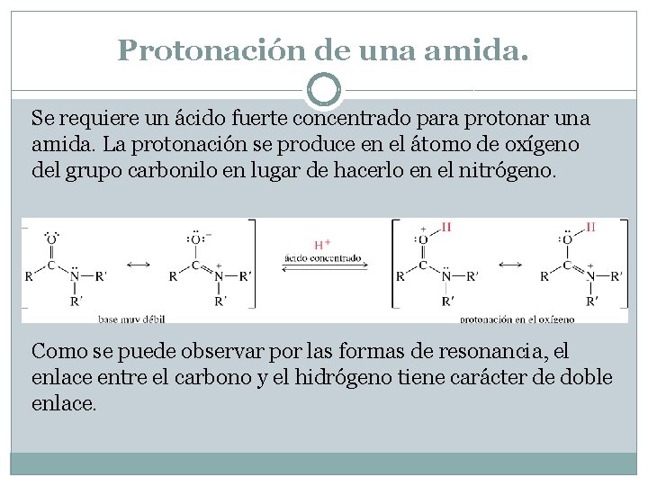 Protonación de una amida. Se requiere un ácido fuerte concentrado para protonar una amida.