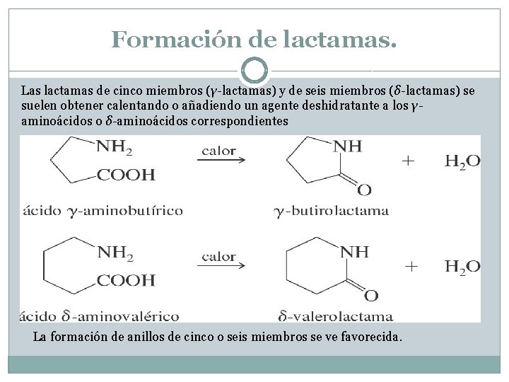 Formación de lactamas. Las lactamas de cinco miembros (γ-lactamas) y de seis miembros (δ-lactamas)