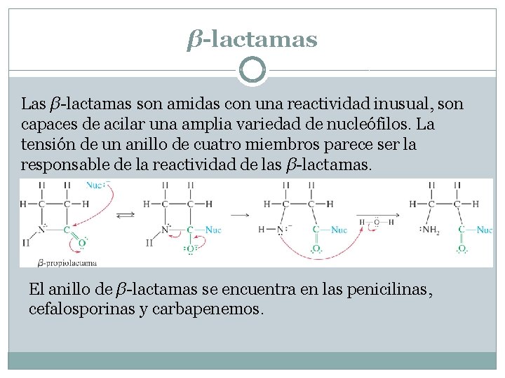 β-lactamas Las β-lactamas son amidas con una reactividad inusual, son capaces de acilar una