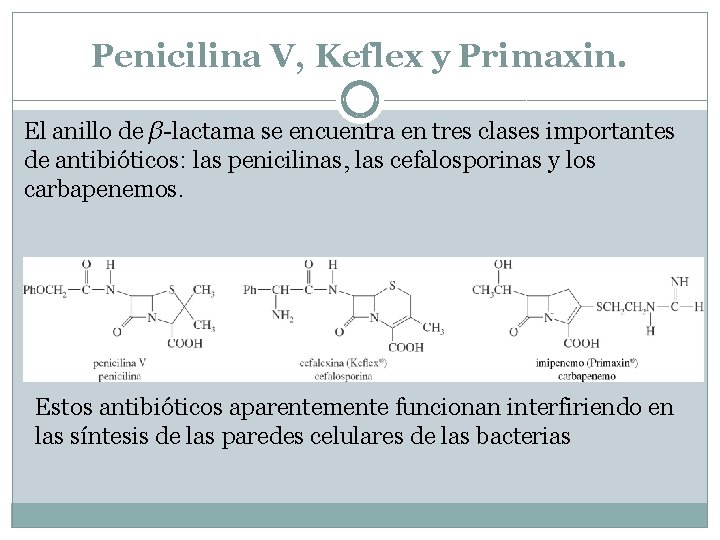 Penicilina V, Keflex y Primaxin. El anillo de β-lactama se encuentra en tres clases