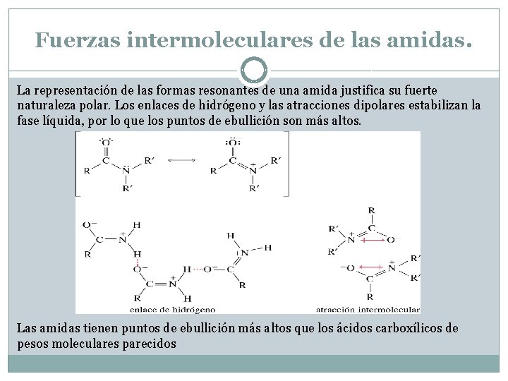 Fuerzas intermoleculares de las amidas. La representación de las formas resonantes de una amida