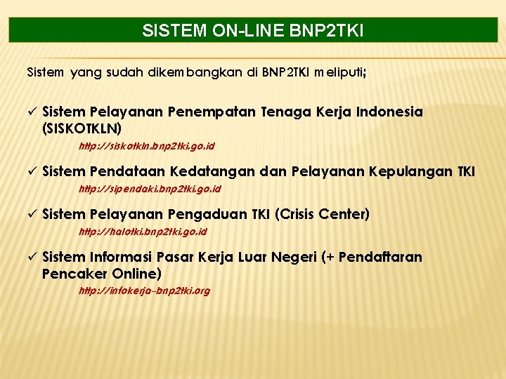 SISTEM ON-LINE BNP 2 TKI Sistem yang sudah dikembangkan di BNP 2 TKI meliputi;