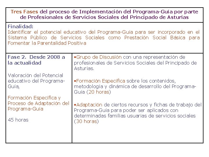 Tres Fases del proceso de Implementación del Programa-Guía por parte de Profesionales de Servicios