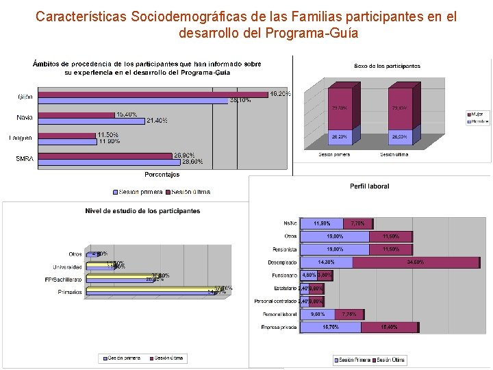 Características Sociodemográficas de las Familias participantes en el desarrollo del Programa-Guía 