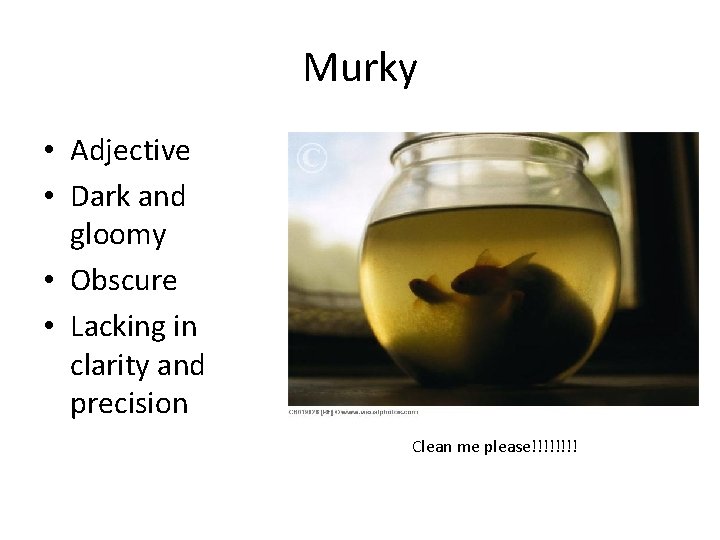 Murky • Adjective • Dark and gloomy • Obscure • Lacking in clarity and