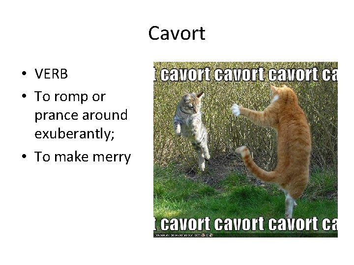 Cavort • VERB • To romp or prance around exuberantly; • To make merry