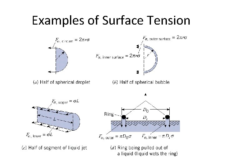 Examples of Surface Tension 