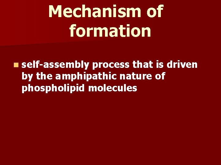 Mechanism of formation n self-assembly process that is driven by the amphipathic nature of