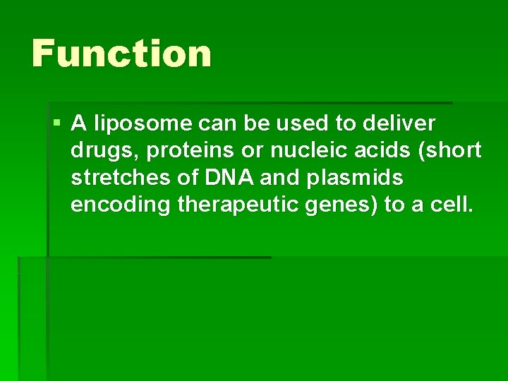 Function § A liposome can be used to deliver drugs, proteins or nucleic acids