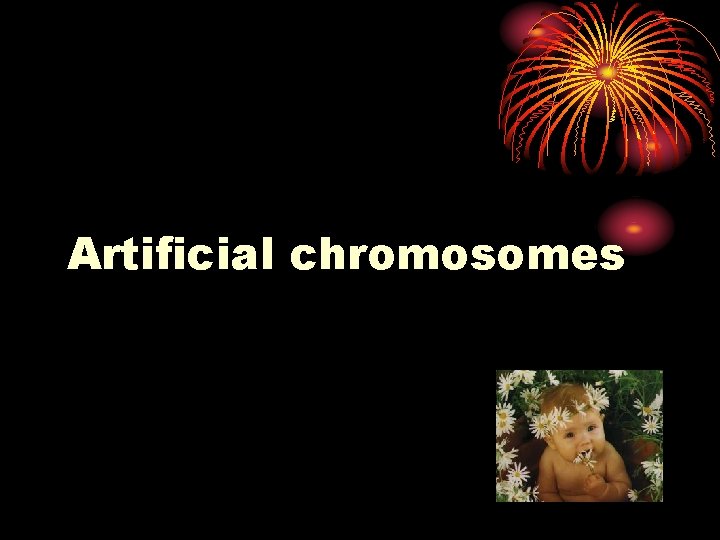 Artificial chromosomes 