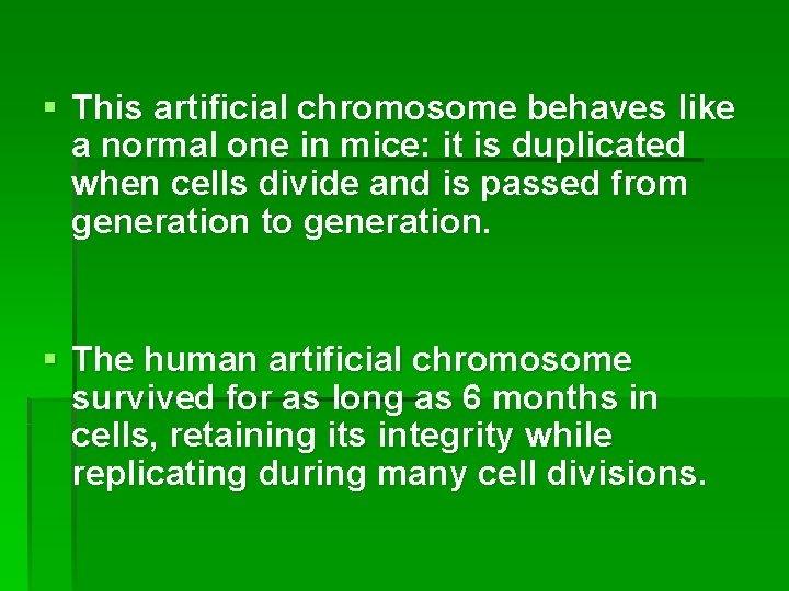 § This artificial chromosome behaves like a normal one in mice: it is duplicated