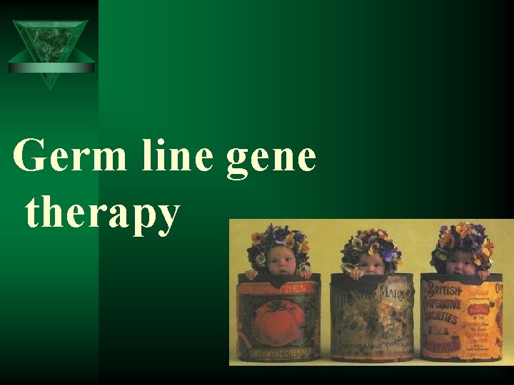 Germ line gene therapy 