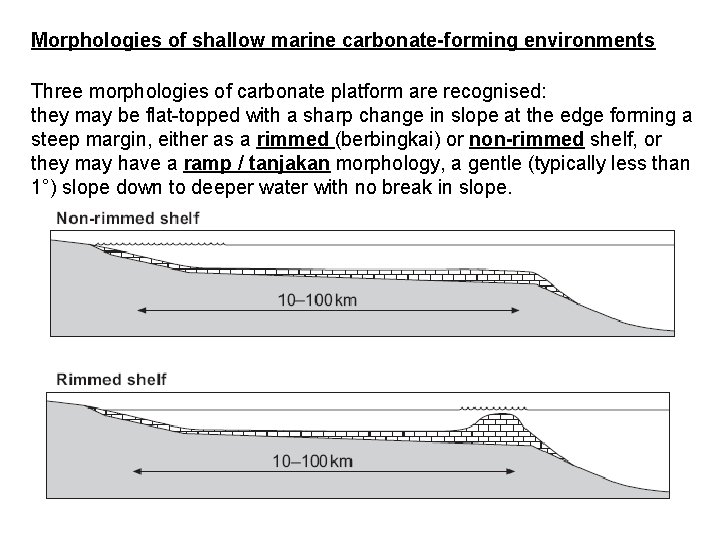 Morphologies of shallow marine carbonate-forming environments Three morphologies of carbonate platform are recognised: they