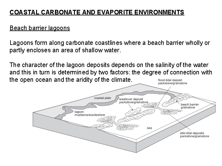 COASTAL CARBONATE AND EVAPORITE ENVIRONMENTS Beach barrier lagoons Lagoons form along carbonate coastlines where